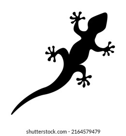 
vector illustration of a simple black silhouette of a gecko lizard on a white background, top view