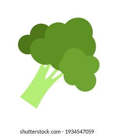 Vector illustration of a simple broccoli vegetable in cartoon style. The element is isolated, on a white background.