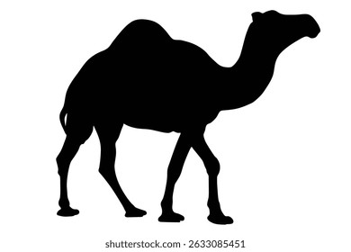 Vector illustration of a simple camel, perfect for icons and graphic elements.