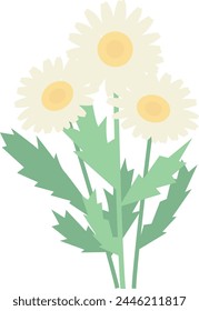 Vector illustration of a simple chrysanthemum.
