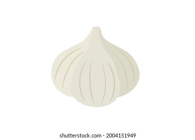 Vector illustration of simple and cute garlic