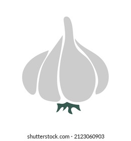 Vector illustration of simple and cute garlic on white. Hand drawn icon