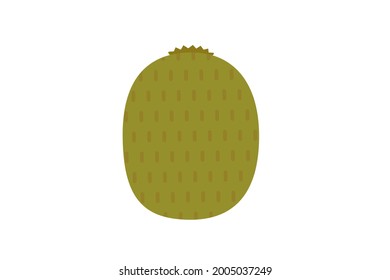 Vector illustration of simple and cute kiwi