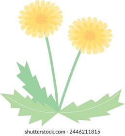 Vector illustration of a simple dandelion.