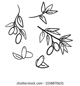 
vector illustration simple doodle olives set
