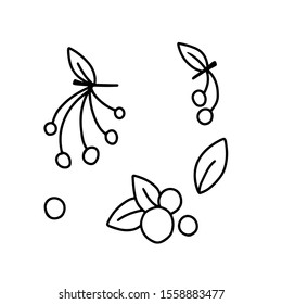 
vector illustration of a simple drawing of a berry