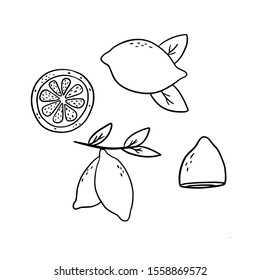 
vector illustration simple drawing lemons set