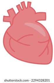 Vector illustration of a simple and flat human heart