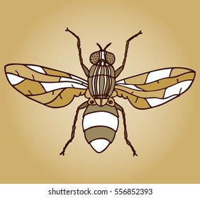 Vector illustration, simple fly sketch in neutral colors, gradient background, card concept.