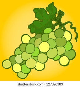 Vector illustration, simple grape sketch, card concept.