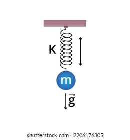 Vector illustration of a simple harmonic oscillator, flat design for studying Physics, hard sciences.