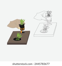 Vector Illustration of simple hydroponic planting
