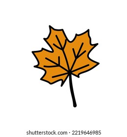 Vector illustration. A simple image of a maple leaf isolated on a white background.