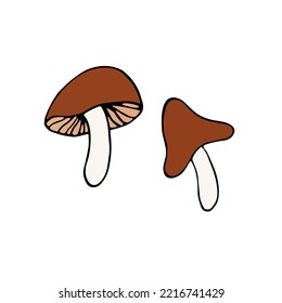 Vector illustration of simple mushroom. Red fly agarics mushroom