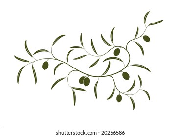 Vector illustration of simple Olive branch three with green olives