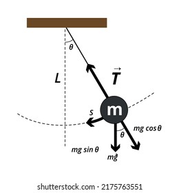 Vector illustration of a simple pendulum, scientific observations, illustrated diagram for education aria, basic physics.