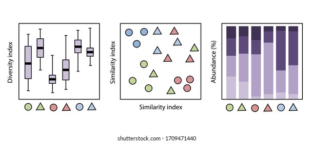 Vector Illustration Of A Simple Representation Of Community Analysis Figures. Alpha Diversity, Beta Diversity And Composition Graphs And Statistics