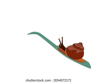 Vector illustration of a simple snail crawling up. A symbol of infinity, stability and prosperity.