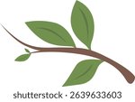 Vector illustration of a simple tree branch with green leaves, ideal for nature, botanical, or organic-themed graphic content.
