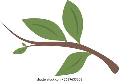 Vector illustration of a simple tree branch with green leaves, ideal for nature, botanical, or organic-themed graphic content.