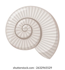 Vector illustration of a single ammonite fossil