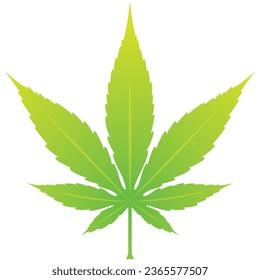 Vector illustration of a single autumn leaf (green)