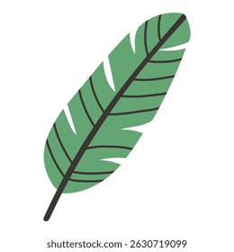 Vector illustration of a single banana leaf in green with a bold dark stem. The design is simple, flat, and stylized, perfect for summer tropical themed graphics.