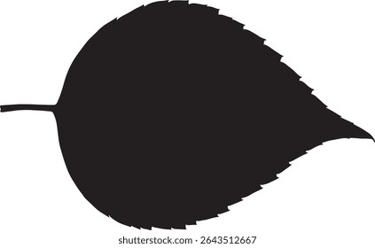 Vector illustration of a single black leaf isolated on white background. Simple, detailed design perfect for various applications.