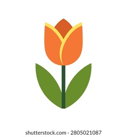 Vector illustration of a single blooming orange tulip flower with botanical isolated illustration colorful freshness