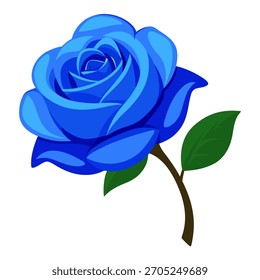 Vector Illustration of single Blue Rose isolated on white background. Gift for Birthday, Valentine's day, Mother's Day, Women's Day, Wedding	