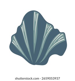Vector illustration of a single colored sea shell on white background. Elegant drawing for coastal graphic compositions.