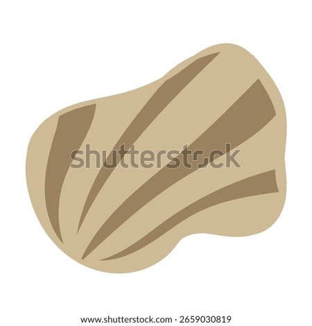 Vector illustration of a single colored sea shell on white background. Elegant drawing for coastal graphic compositions.