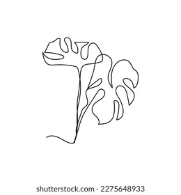 vector illustration single continuous line monstera plant