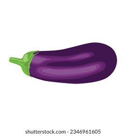 Vector illustration of single eggplant vegetable cartoon flat style. Eggplant isolated on white background. Organic natural food concept designed in purple of violet color. Solanum melongena vegetable
