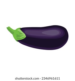 Vector illustration of single eggplant vegetable cartoon flat style. Eggplant isolated on white background. Organic natural food concept designed in purple of violet color. Solanum melongena vegetable