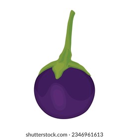 Vector illustration of single eggplant vegetable cartoon flat style. Eggplant isolated on white background. Organic natural food concept designed in purple of violet color. Solanum melongena vegetable