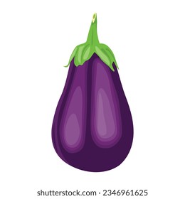 Vector illustration of single eggplant vegetable cartoon flat style. Eggplant isolated on white background. Organic natural food concept designed in purple of violet color. Solanum melongena vegetable