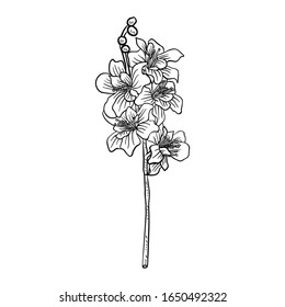 Ilustración de vectores Dibujo de línea de flor simple