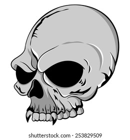 Vector Illustration of a single gray human skull with vampire teeth on a white background.