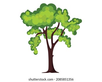 Vector illustration of single green tree, cartoon style isolated on white background
