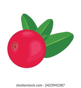 Vector illustration of single or group cranberry fruit in cartoon flat style. Cranberry isolated vector icon, wild berries with green leaves on white background. Healthy food, organic natural product