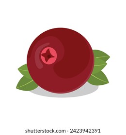 Vector illustration of single or group cranberry fruit in cartoon flat style. Cranberry isolated vector icon, wild berries with green leaves on white background. Healthy food, organic natural product