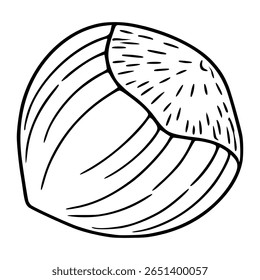 A vector illustration of a single hazelnut, depicted in a hand-drawn style with bold black lines on a white background, showcasing its textured shell and unique segmented structure.