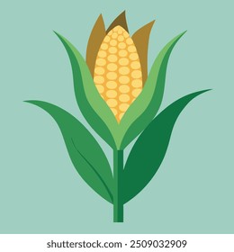 A vector illustration of a single head of corn in a simple, clean style, perfect for commercial use in food branding, packaging, and marketing materials