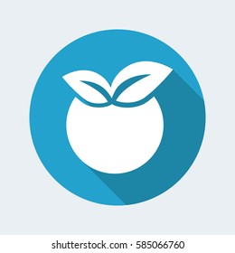 Vector illustration of single isolated apple icon