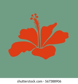 Vector illustration. Single isolated tropical flower, green and orange hibiscus icon.
