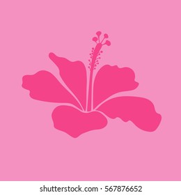 Vector illustration. Single isolated tropical flower, pink hibiscus icon.