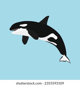 Ilustración vectorial de un solo asesino de ballenas orca saltando en dibujos planos. Diseño de animales de dibujos animados. Orquesta de mamíferos oceánicos aislada en un fondo azul. Ilustración de peces depredadores del mar.