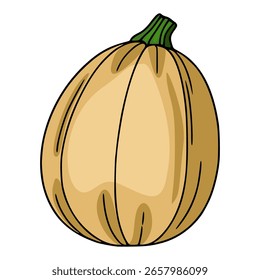A vector illustration single