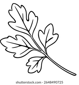 Ilustração vetorial de uma única mola de salsa com folhas de estilo detalhadas, desenhadas à mão e um contorno preto e arrojado contra um fundo branco limpo.